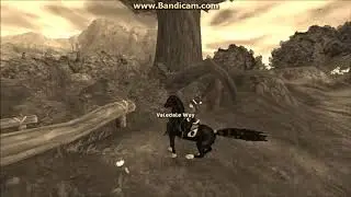 3 neue Pferdis // Mrs Moosestream