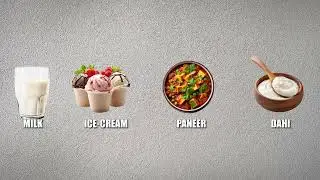 Let's Decode Dairy | Channel Intro