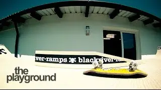 The 