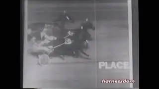 1995 Scioto Downs SHANNON BUDDY Gregg Haston