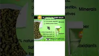 🐇Boltz Premium Adult Pellet Rabbit Food,Nutritionist Choice ISO 9001 Certified 1200 gm