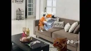 selamat tahun Baru 🎉🎉🎉
