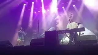 Vidas Bareikis, 