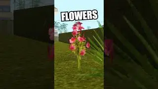 How to get FLOWERS? GTA San Andreas