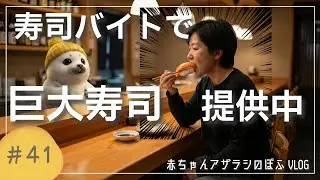 【赤ちゃんアザラシぽふ】巨大なお寿司を作って提供したらお客さんの反応は…👀寿司バイト1日密着🍣✨