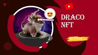 🚀DRACO NFT 🚀 BE READY FOR MINT🚀