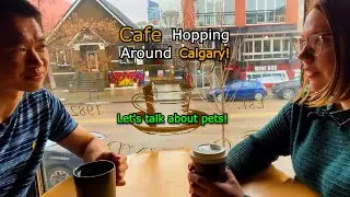 Cafe hopping in Calgary! Fringe Coffee, Regal Cat Cafe, and Higher Ground, let's talk about pets!