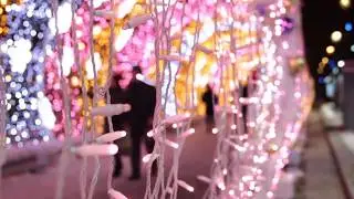 Alberta's Newest Winter Festival! The Enjoy Light Festival, or ELF, at the Enjoy Centre