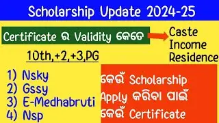 Scholarship Update 2024-25 | Caste/Income/Residence Certificate ର Validity କେତେ |Scholarship Odisha