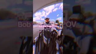 sorry Bob! 😞 #bikerchic #kawasakigirl #bikelife #bug #insta360 #motorcycle #fast #flyagain #sorry