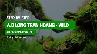 #9 Step by step - Wild - A.D Long Tran Hoang  - IAPLC 2019 - Rank 80