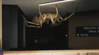 This big spider is INSANE