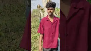 ও কাকু ভুট্টা কি করে পার করো #official #cow #videos #funny #shortvideo