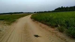Nature is Real Beauty, Peace and Motivation || Greenery in Desert || Bike Driving in the desert