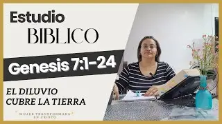 D&iacute;a 5 | G&eacute;nesis 7:1&ndash;24 | El diluvio cubre la tierra | Estudio b&iacute;blico diario
