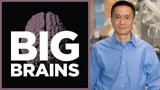 How a Genetic Breakthrough Could Address Global Hunger: Big Brains Podcast
