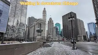 Walking in Downtown Chicago