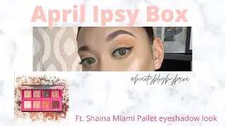 Shaina B Miami eyeshadow try on & review
