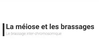 [eSVT] La méiose et le brassage interchromosomique