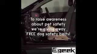 Adjustable Pet Harness, Pet Dog Cat Car Seat Belt