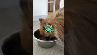 No More Picky Eaters!