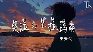 哭泣的朵拉瑪爾 - 王天戈『Ku Qi De Duo La Ma Er - Wang Tian Ge』#無損音樂