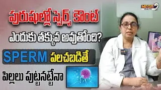 పురుషుల్లో స్పెర్మ్ కౌంట్ ఎందుకు తక్కువ అవుతోంది..? | Male Low Sperm Count Test | Mega9tvhealth