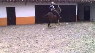 VID 20120913 00034