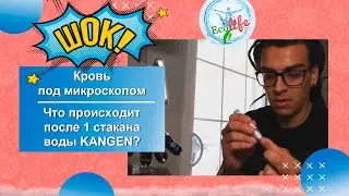 Кровь под микроскопом - что происходит после 1 стакана воды KANGEN | ENAGIC