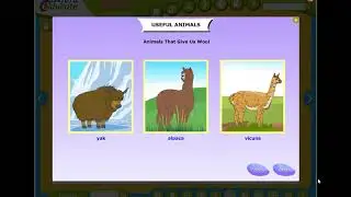 CLASS 4 | EVS| CH 4 - Useful Animals