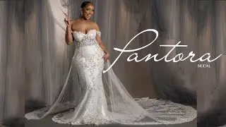 Pantora 2021- Journey
