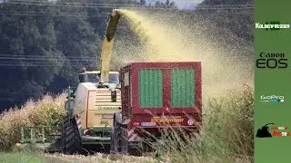 Maisernte|MB-TRANS AGRAR|Krone|Strautmann|Fendt|Fliegl