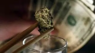 Marijuana Investing: How to Make Money