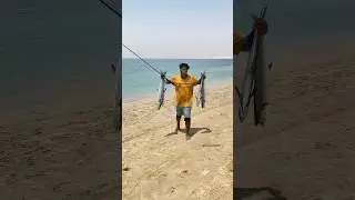Fishing qatar🎣🎣#fishing #qatarfishing #inlandsea #kingfish #inlandseaqatar#jigpara #shorecasting