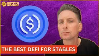 WHATS PRINTING? THE BEST STABLE COIN YIELDS IN DEFI