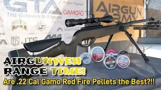 Are .22 Cal Red Fire Pellets really the BEST pellet for my Gamo Shadow Tactical?  Let’s find out!