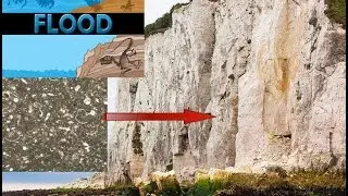 Mass Extinction Points to Noah's Flood...