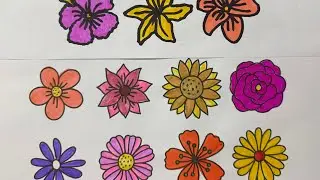 Lets colour together flowers 💐🌺🌸🪻🪷🌹🌼🌻💐