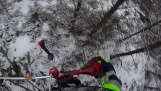 Finnish forestry - Pine stand thinning - Raivaus
