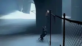 Small Boy Escapes from 3 Angry Dogs