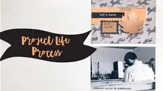 A Fall Project Life Process