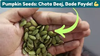 Pumpkin Seeds Uses & Benefits in Hindi | How to Eat Pumpkin Seeds Correctly?