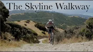 Skyline Walkway - A great day ride in Wellington