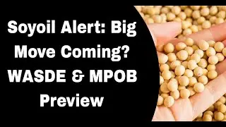 Soyoil Alert: Big Move Coming? WASDE & MPOB Preview