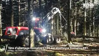 Une t&ecirc;te d&rsquo;abattage Komatsu C164 &agrave; quatre rouleaux &agrave; l&rsquo;&oelig;uvre dans une &eacute;claircie tr&egrave;s tardive
