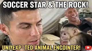 ⚽ Soccer Star & 🪨 The Rock ⚡ Unexpected Animal Encounter 🦁🔥 Must-See Wild Moment in 4K