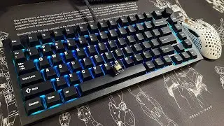 GMMK Pro BCP Spacebar with Lynx switches