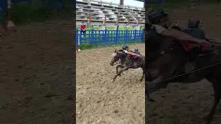 jalando guaya 🤠💪🏇🏾💨 #caballos #llano #horse #caballo