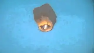 maiden flight of a Chinese lantern ?