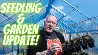 Seedling & Garden Update [Gardening Allotment UK] Home Growing Veg & Flowers